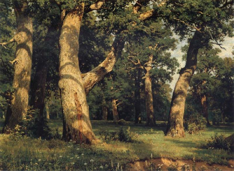 Ivan Shishkin Oak of the Forest Norge oil painting art